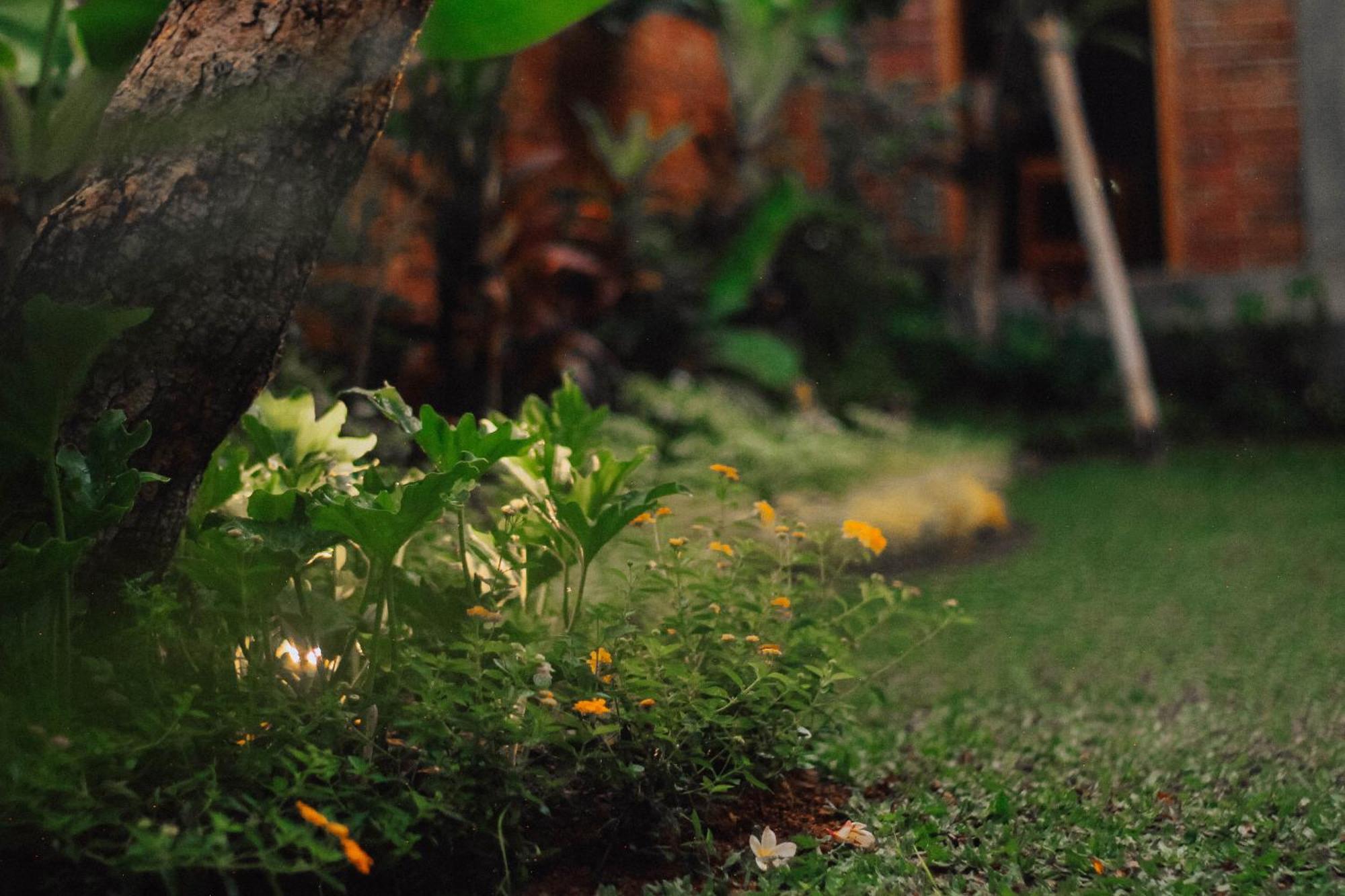 Govardan Home Stay Canggu Eksteriør billede